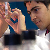 Undergraduate Research