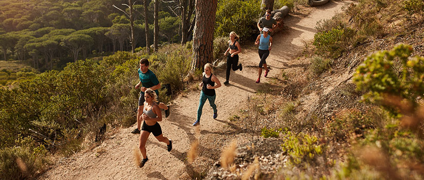 People running on a trail in the woods