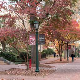 Students walking along brick walkways on the Horseshoe at the University of South Carolina's Columbia campus