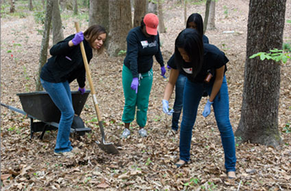 Students working outdoors during MLK days of service part, of 23,194 Gamecock volunteers in 2013
