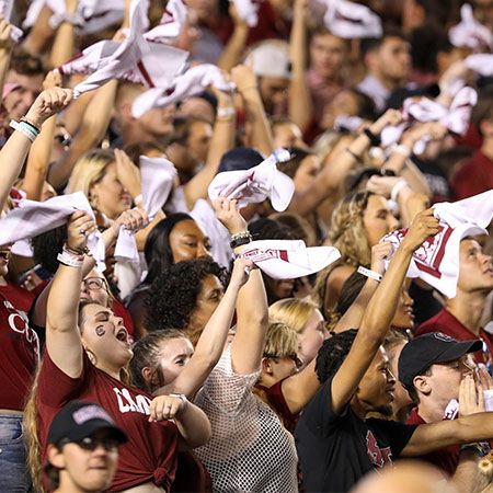 Large crowd of Gamecock students cheering in the stands at Williams Brice Stadium with arms raised, twirling towels in the air.