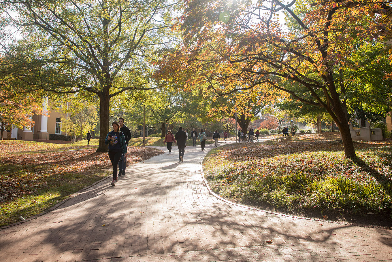 Students walking on a brick pathway on a beautiful fall afternoon.