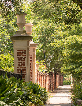 The lush walkway surrounded by trees and the historic horseshoe gates.