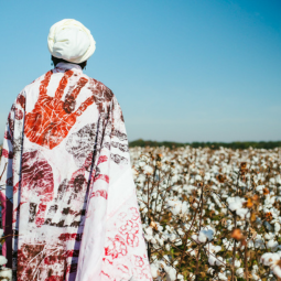 Photograph featured in Cicely Hill's MFA exhibition. The photograph features a standing woman that is looking out at a field of cotton. The woman is draped in a cloth covered in red handprints that appear bloodied. 