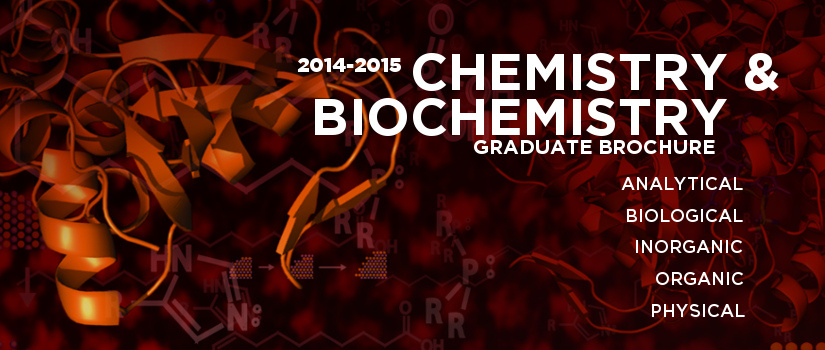 Top Undergraduate Biochemistry Programs