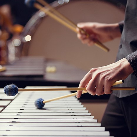 hands playing an idiaphone with mallets