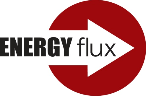 ENERGY FLUX STUDY logo