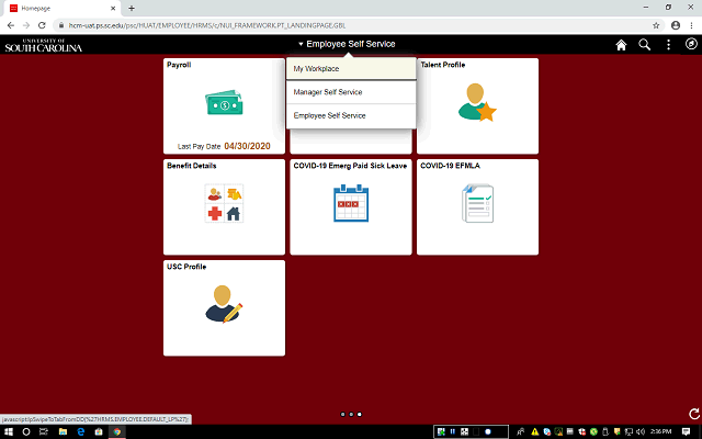 Screen image of this step