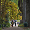 students walking on horseshoe