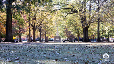 The Horseshoe seen from the east end looking toward the Maxcy Monument.