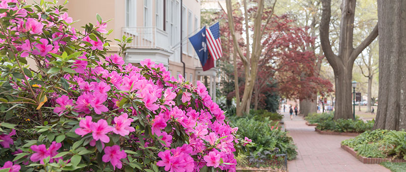 Continuing Education at the University of South Carolina