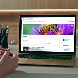 Online Course Development Online Course Development