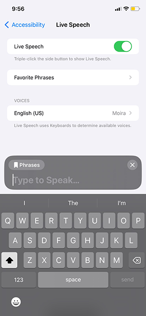 Screenshot of the Live Speech settings on iPhone. Live Speech is toggled on and active. The text 'Type to Speak...' is prompting to type a phrase into the dialog.