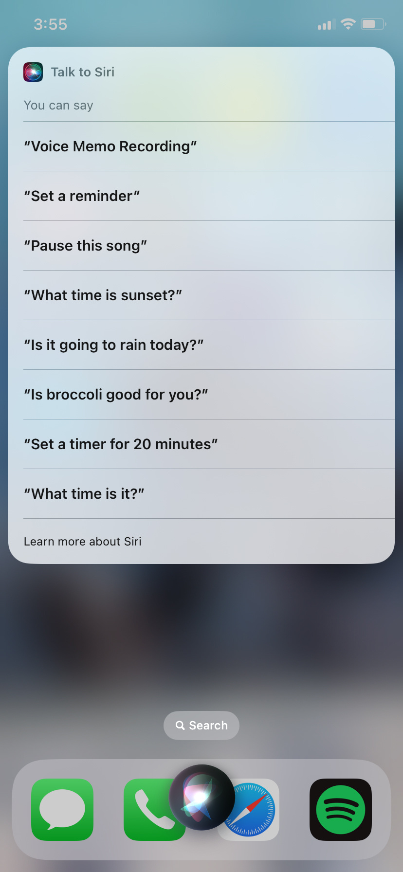 Screenshot of Talk to Siri dialog. You can say Voice Memo Recording, Set a reminder, Pause this song, What time is sunset? Is it going to rain today? Is broccoli good for you? Set a timer for 20 minutes, or What time is it?