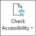 Check Accessibility icon.