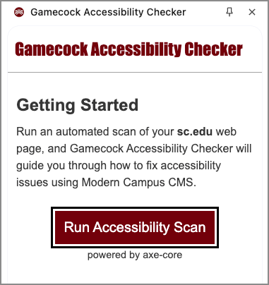 Screenshot of the tool open in Chrome's side panel with the Run Accessibility Scan button front and center.