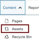 Omni CMS, cropped to show the Content tab next to Reports, with dropdown options for Pages, Assets, highlighted in a garnet rectangle, and Recycle Bin.