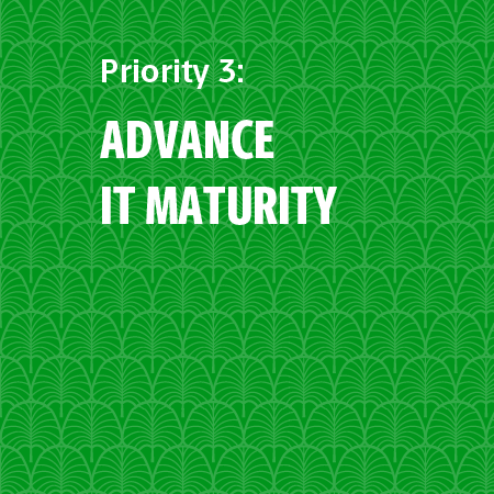 Priority3: Advance IT maturity