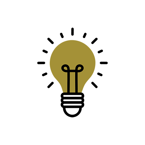 lightbulb icon