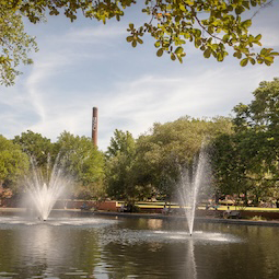 Placeholder Grid Image