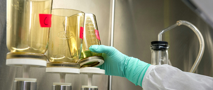 Health researcher grabbing glass beaker in lab.