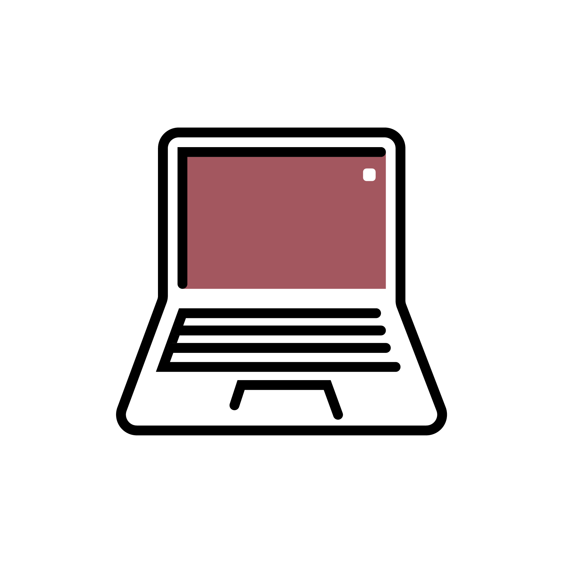 laptop / computer graphic