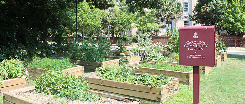 Carolina Community Garden