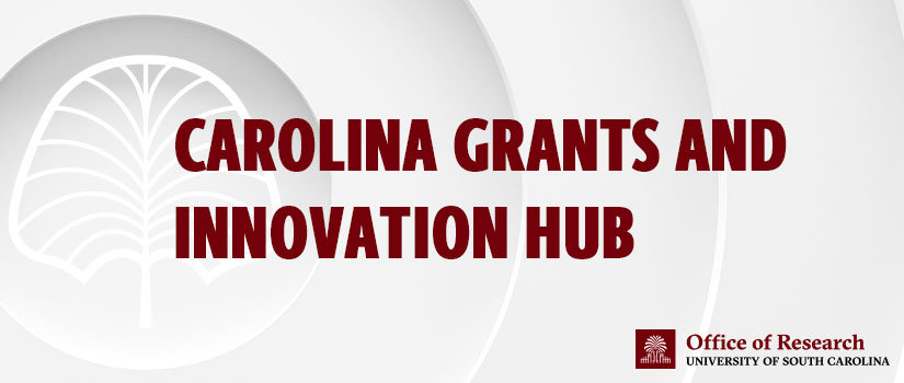 Banner Image reading "Carolina Grants and Innovation Hub" in garnet text on a textured grey background.