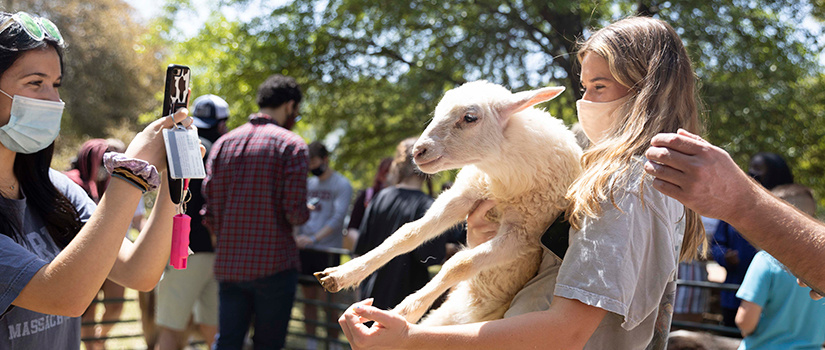 A student holds a baby goat while another student takes a photograph on a cell phone.