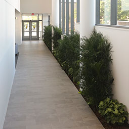 hallway with plants
