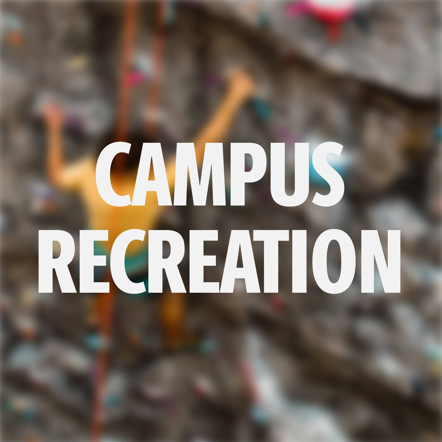 Campus Recreation 