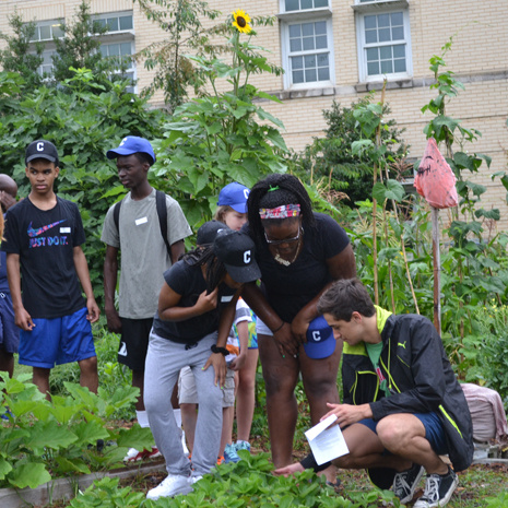 Children from the Columbia community participating in Camp GLEA - learning more about our garden