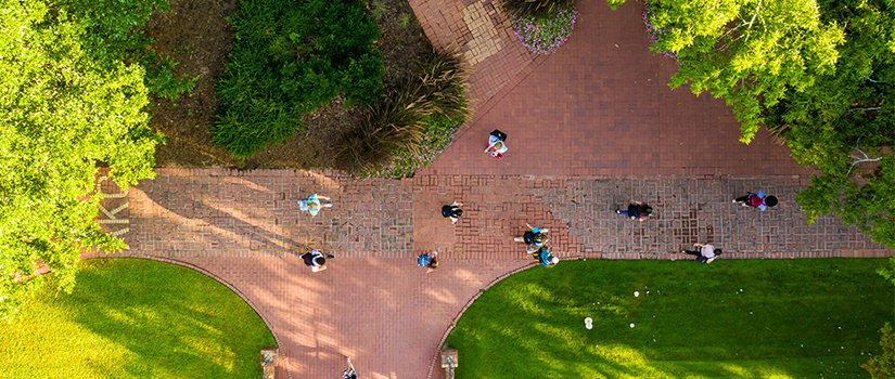 Drone shot of a path at UofSC with students walking on it