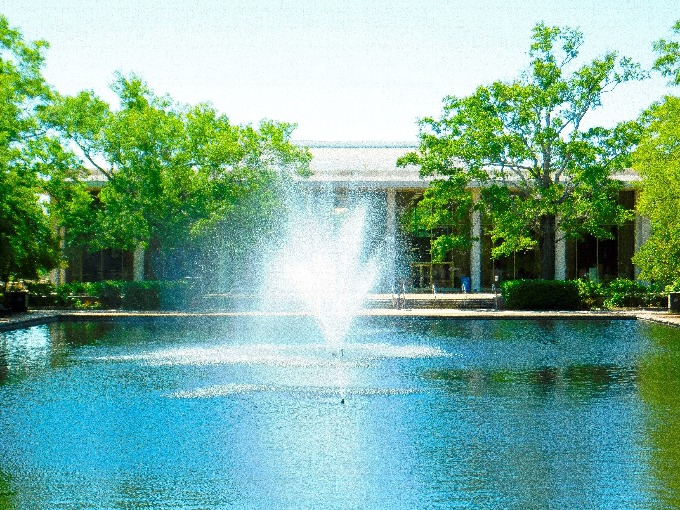 The Thomas Cooper fountain in front of the library on a sunny day