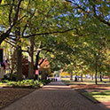 view of the historic horseshoe on uofsc campus