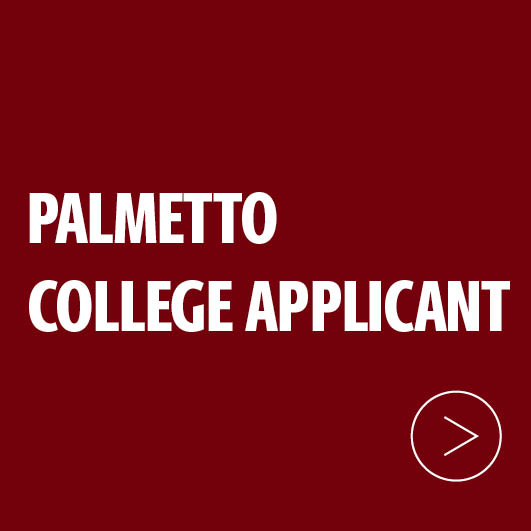 Palmetto College Applicant