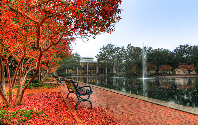 Thomas Cooper Library building, fountain and bench with red leaves on the ground