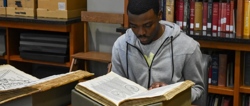 Long-billed Curlew print