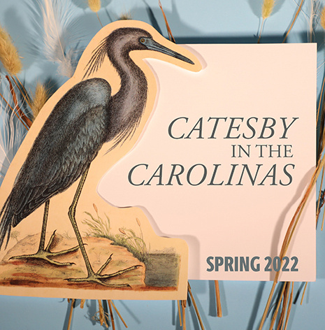 Image of Catesby print of a heron. Text reads "Catesby in the Carolinas, Spring 2022."