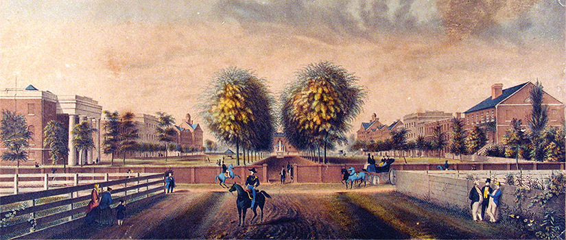 illustration of the historic horseshoe as it stood in 1850. Brick buildings appear on either site of the beautiful green space lined with palmetto trees. A brick wall with gates in the center separate the green space from a street with men on horses and women in long dresses. 