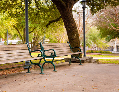 Wooden benches along the sidewalk in a grassy area on the south side of campus.
