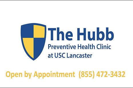 The Hubb Logo
