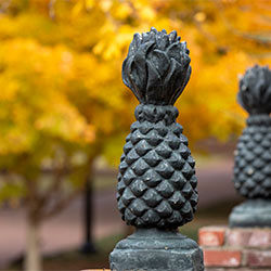 Stone pineapples sit atop a brick wall on the Historic Horseshoe. 