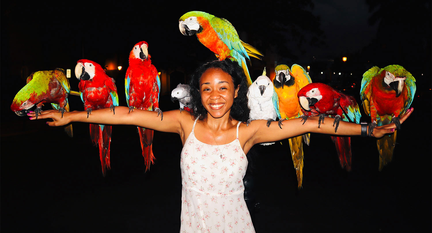 Student surrounded by colorful birds sitting on her outstretched arms. 