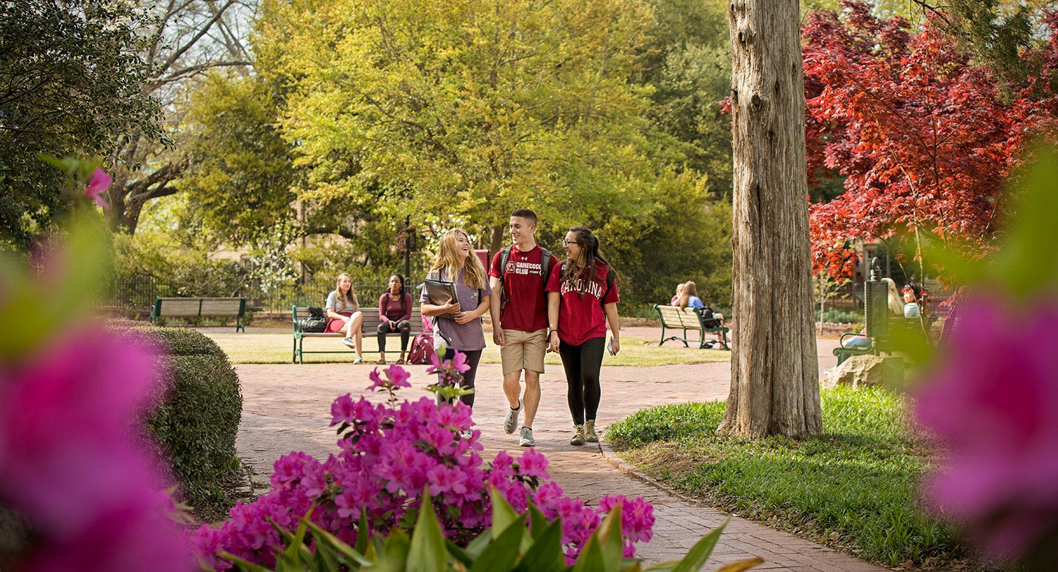 Three students wearing Gamecock t-shirts walk through Gibbes Greene surrounded by blooming shrubs.
