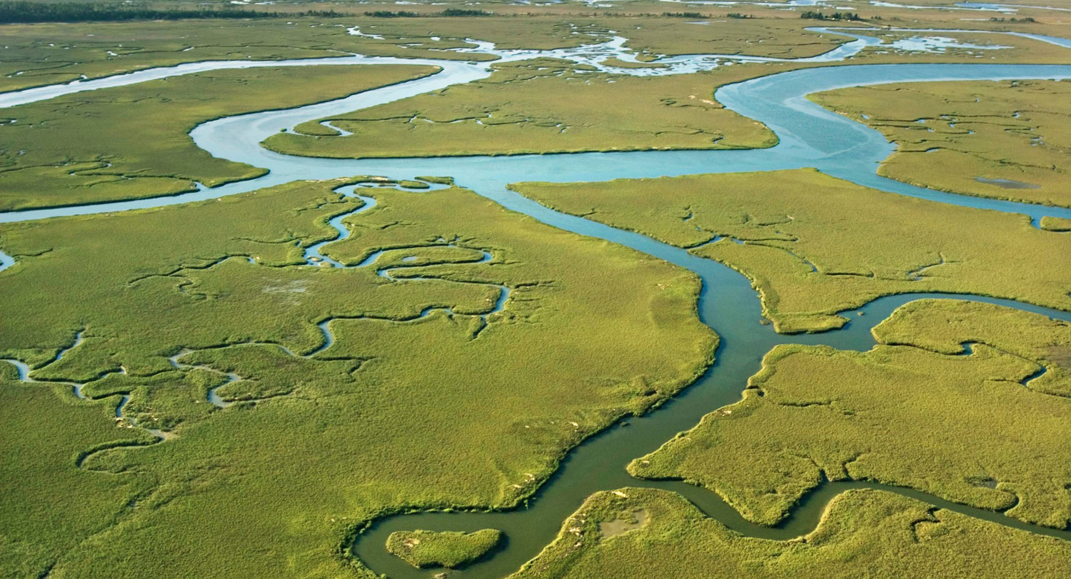 An aerial view of a vast coastal marshland featuring winding waterways and lush green vegetation creating a maze-like pattern