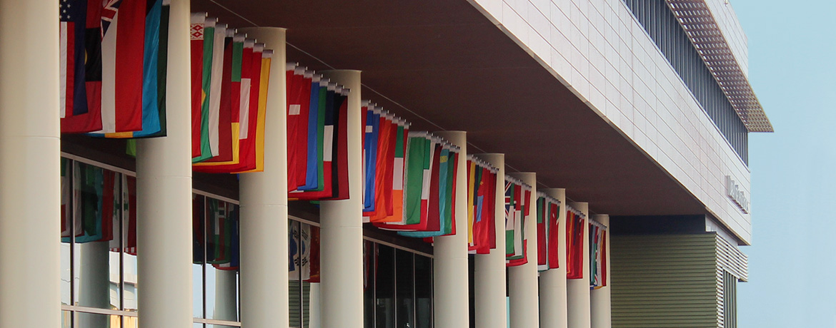 country flags hanging between the columns of the Darla Moore School of Business
