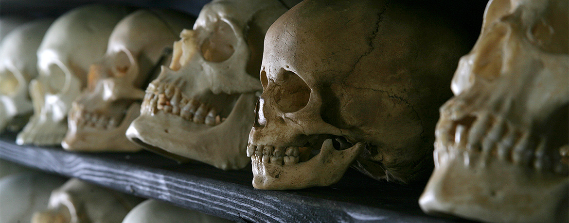 row of human skulls