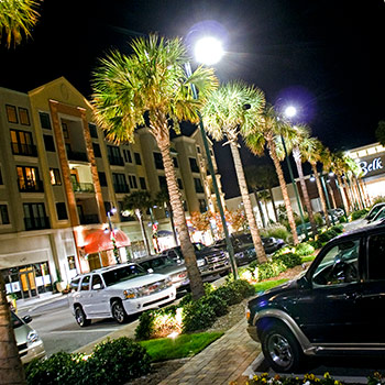 A row of palmetto trees light by street lights in front of a shopping area at night. 
