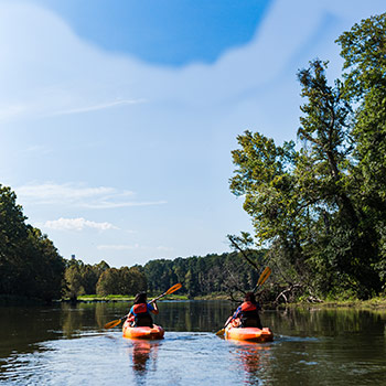 Two people in kayaks paddeling down a still river on a sunny day under a bright blue sky. 